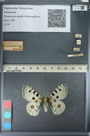 Media type: image;   Entomology 175365